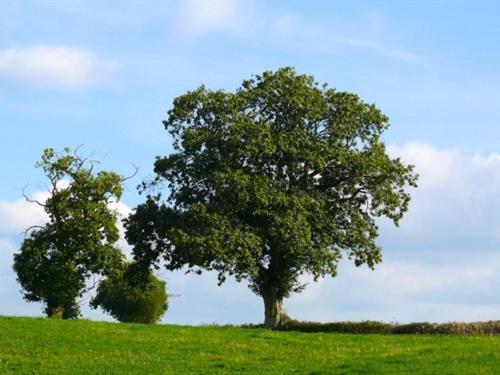 Gite De La Colombiere La Grande-Verriere  Ngoại thất bức ảnh